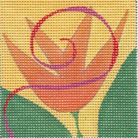 Orange Tulip Square