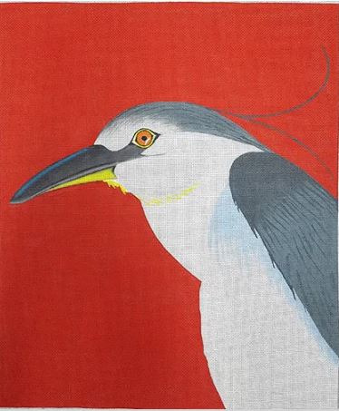 Night Heron Portrait