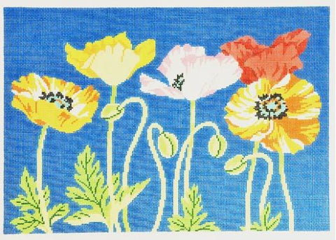 Poppies