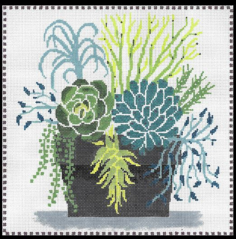 Succulent Pot