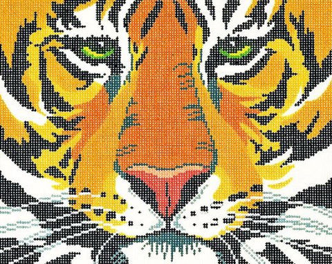 Tiger Face