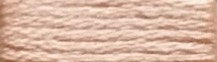 621 Coral Range - Needlepoint Inc Silk Hank