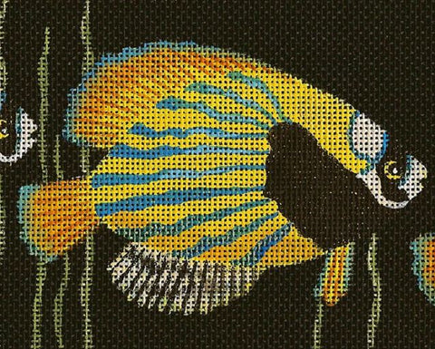 Something Fishy