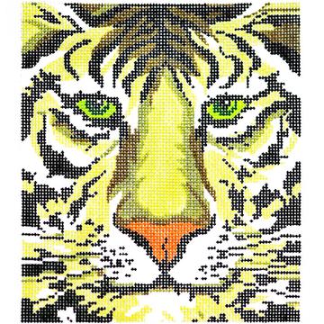 Tiger Face