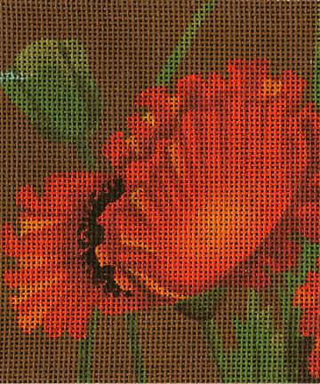 Poppy Fields