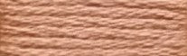 622 Coral Range - Needlepoint Inc Silk Skein