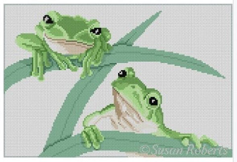 Frogs Hangin