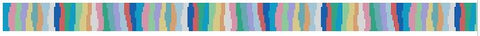 Summer Waves Belt