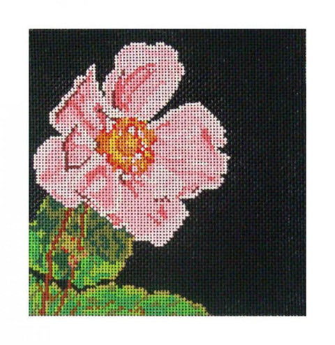  Japanese Anemone