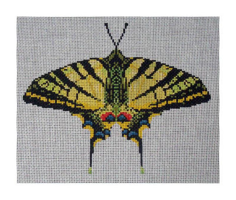 Yellow Swallowtail