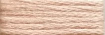 631 Clove Coral Range - Needlepoint Inc Silk Hank