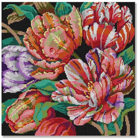 Parrot Tulip