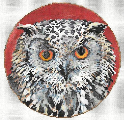 Hoot