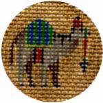 Camel