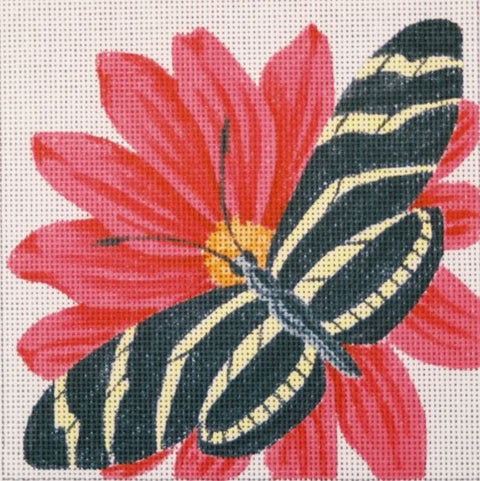 Zebra Butterfly on Red