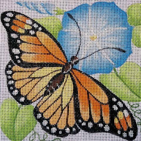 Monarch / Morning Glory