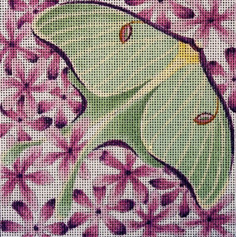 Luna Moth on Purple