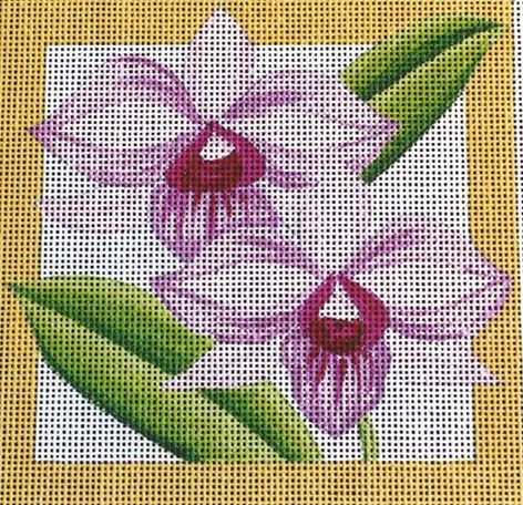 Orchid Square