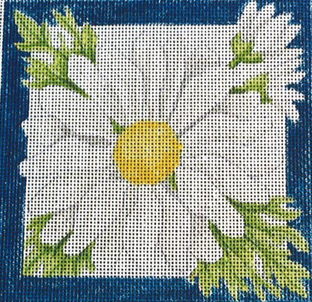 Daisy Square