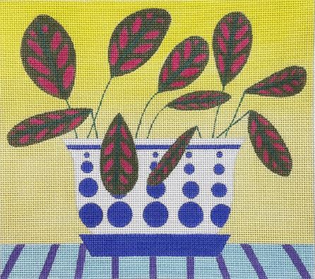 Prayer Plant