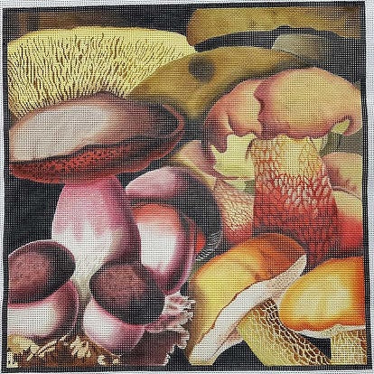 Mushroom Collage 1