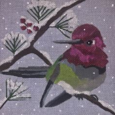 Winter Hummingbird