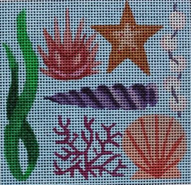 Ocean Floor