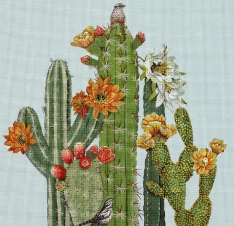 Cactus and Birds