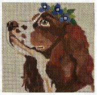 Springer Spaniel