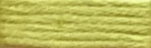 653 Acid Green Range - Needlepoint Inc Silk Skein