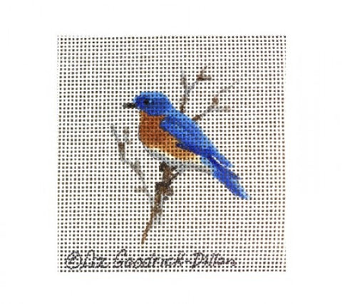 Blue Bird on Branch