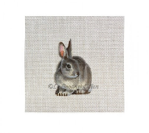 Rabbit Horizontal