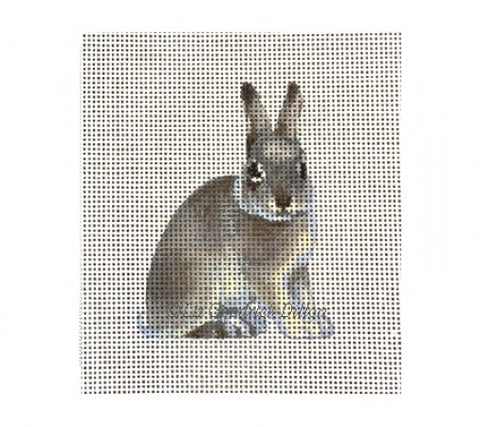 Rabbit Vertical