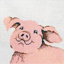Cute Pig