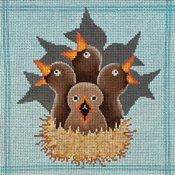 Nest of Baby Birds on Aqua