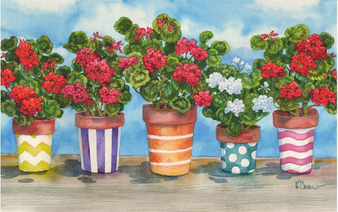 Fancy Pots Geraniums