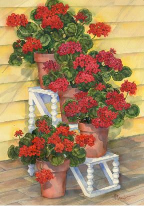 Spindle Shelf Geraniums