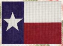 Texas Flag