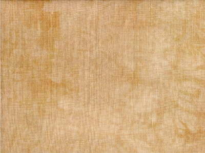 PTP Aida 14ct - Relic - Fat Quarter Yard 18 x 26 in