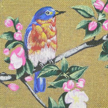 Little Bird