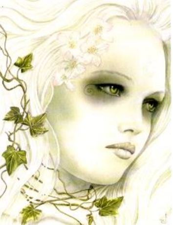 Ivy