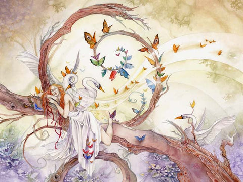 Sleeps With Butterflies