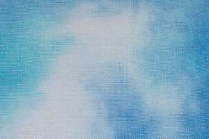 Crossed Wing - 28ct - Sky - Fat Quarter Yard 27 x 18 in