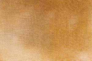 Crossed Wing - 28ct - Earth - Fat Half Yard 27 x 36 in