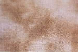 Crossed Wing - 28ct - Sandstone - Fat Half Yard 27 x 36 in