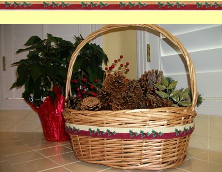 Holly Belt