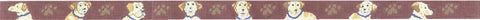 Yellow Lab Belt
