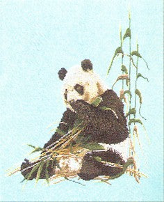 Panda Bear