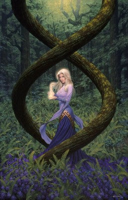 Lotus Wood