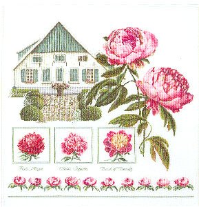Peony